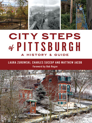 cover image of City Steps of Pittsburgh